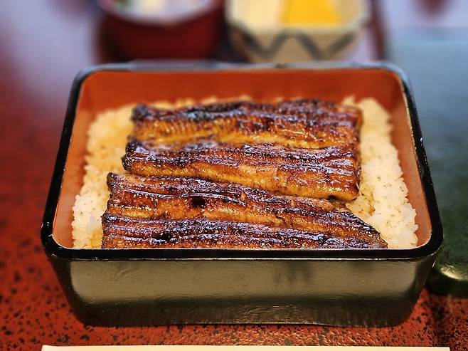 20250727_150655.jpg <도쿄외노자> 170년 장어덮밥 노포 맛집 :: 우나기 사쿠라야 うなぎ桜家