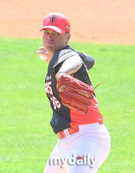 브룩스/마이데일리