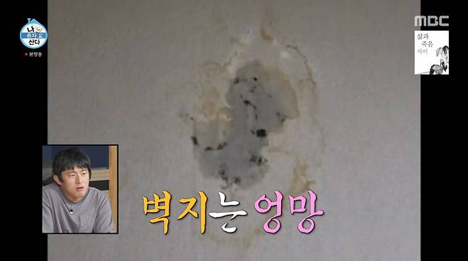 사진=MBC '나 혼자 산다'