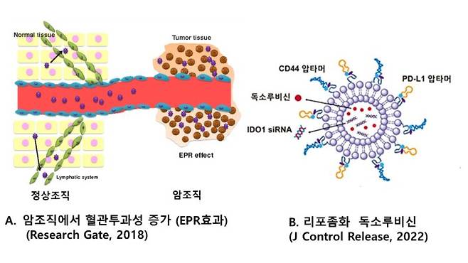 [사진=유영현 제공]
