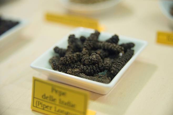 동남아와 인도에서 자생하는 덩굴성 후추과 식물인 히하츠. 열매는 길쭉하고 쭈글쭈글한 모양이며, 말리면 짙은 갈색을 띤다. 특유의 매콤한 향과 함께 따뜻한 성질을 지녀, 혈류 개선·냉증·부종 완화 등에 효과가 있는 향신료로 알려져 있다. (사진=게티이미지)