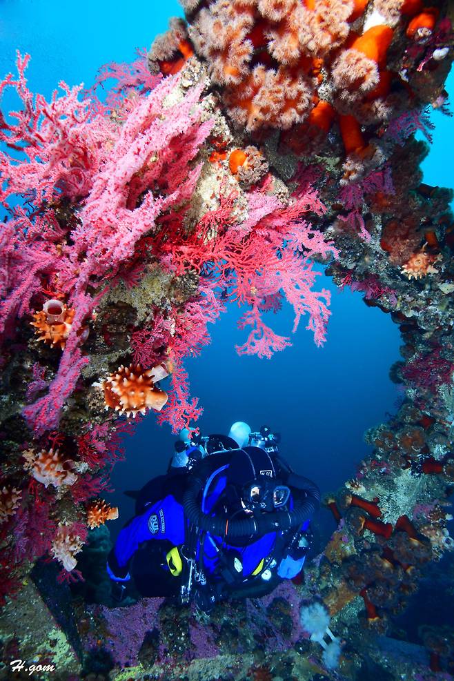 A diver near Jumunjin Beach (JMJ Dive Resort)