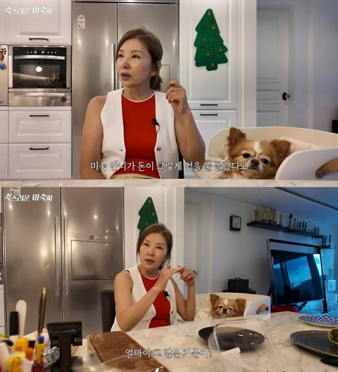 배우 이미숙이 자신의 재산을 언급했다. /사진=이미숙 유튜브 채널