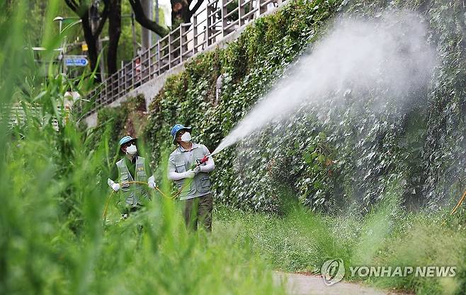 장마 끝나고 모기 방역 (수원=연합뉴스) 홍기원 기자 = 31일 오후 경기도 수원시 팔달구 수원천에서 팔달구보건소 관계자들이 일본뇌염과 말라리아 등 모기 매개 질병 예방을 위해 방역을 하고 있다. 2024.7.31 xanadu@yna.co.kr