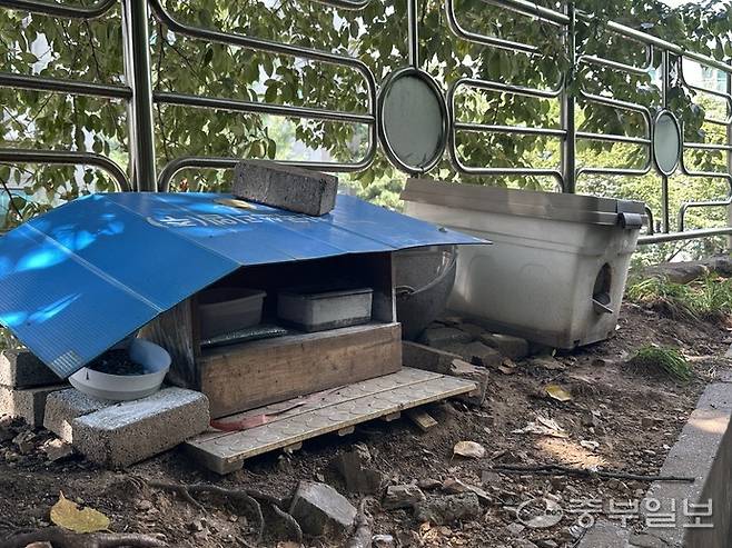 ▲ 인천 계양구 동양동에 소재한 인천동양근린공원에 마련된 사설 고양이 급식소. 사진=노선우 기자