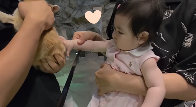 박수홍 딸 재이의 첫 동물원 방문 모습이 공개됐다. '박수홍 행복해다홍' 캡처