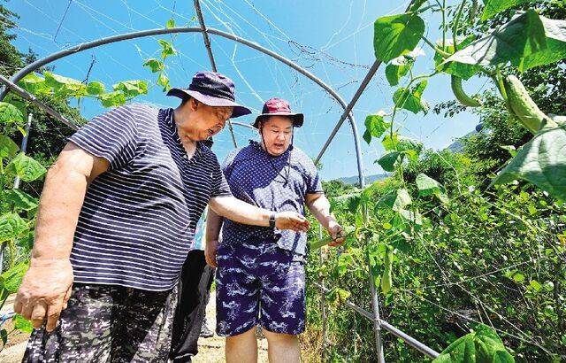 남기철(왼쪽) 밀알천사 대표가 자폐성 장애가 있는 아들 남범선씨와 최근 경기도 포천의 농사체험장에서 오이를 수확하고 있다. 포천=신석현 포토그래퍼
