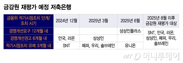 금감원 재평가 예정 저축은행/그래픽=이지혜