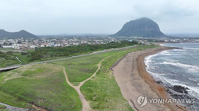 사계리 해안사구  [촬영 박지호 기자]