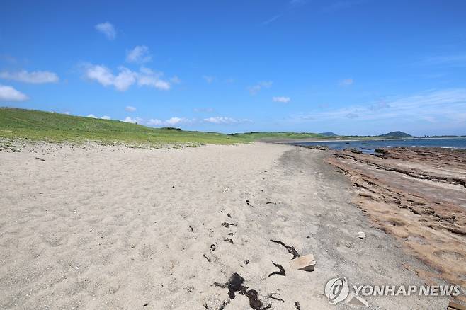 신양리층(사진 오른쪽)과 신양 해안사구 [촬영 고성식]