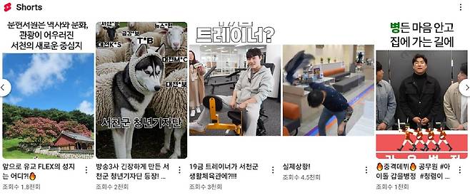 충남 서천군, 전국 최초 AI 활용 홍보조례 전면 시행...예산 절감 및 '공공홍보의 혁신 모델’부상 기대