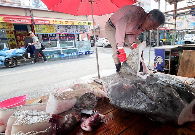 포항 죽도시장 수산물매장 상인 이영태씨가 11일 오전 개복지 해체 작업을 하고 있다. /이용선기자 photokid@kbmaeil.com