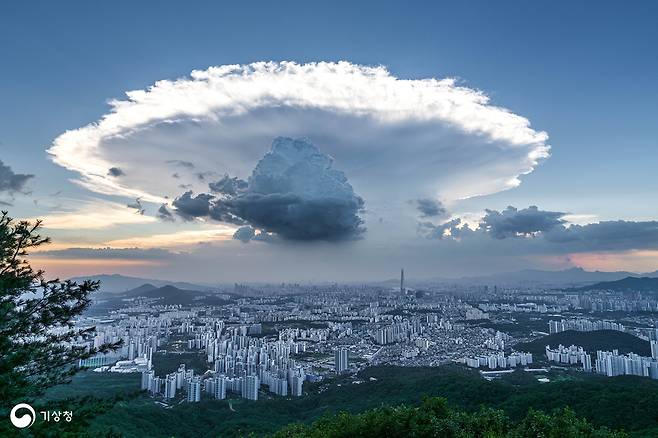 은상,&nbsp; &nbsp;버섯구름,&nbsp; &nbsp;신규호 / 사진=제주도 민속자연사박물관