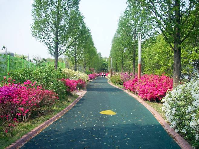 봄에 본 신정호 산책로. 아산시 제공