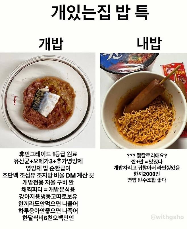 Screenshot_20250811_141643_Instagram.jpg 개 키우는집 밥 특징.jpg