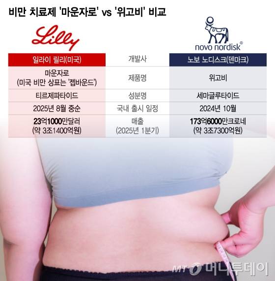비만 치료제 '마운자로' vs '위고비' 비교/그래픽=이지혜