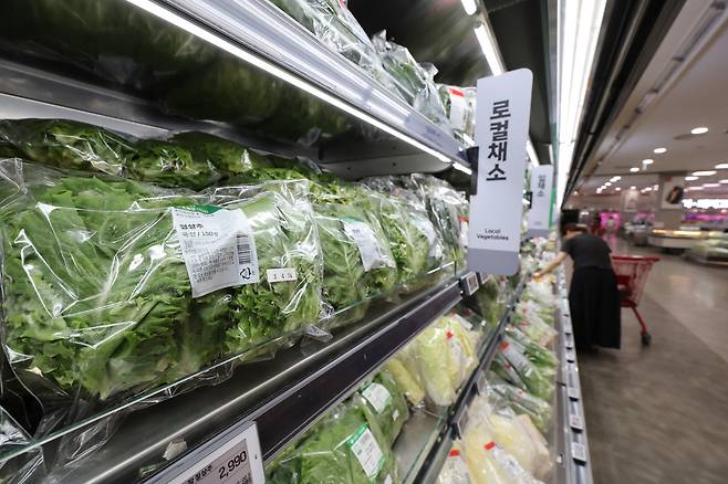 서울 시내 한 대형마트에 진열된 상추. [연합]