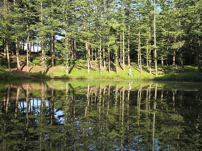 갱도가 무너진곳에 생긴 도롱이연못. 광부의 안전을 비는 곳이다.
