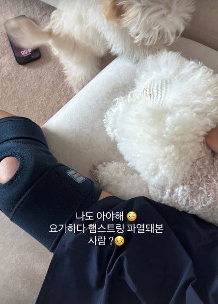 기은세 소셜미디어