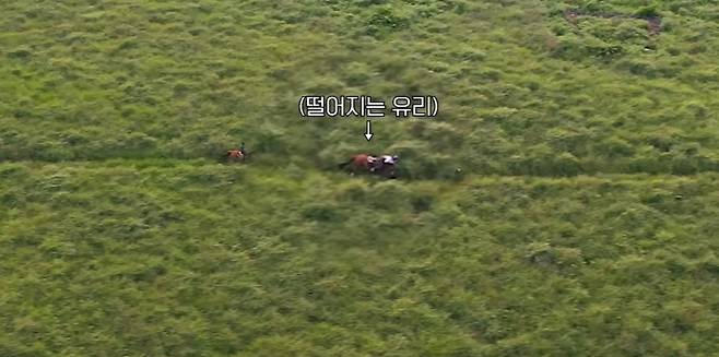 /사진=권유리 유튜브