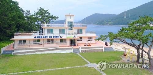 통영 용호도 고양이학교 [통영시 제공. 재판매 및 DB 금지]