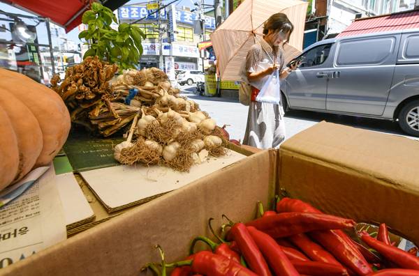 무더운 날씨를 보인 12일 수원시 장안구의 한 전통시장의 가판대에 채소들이 진열돼 있다.김태완 기자 lift@kihoilbo.co.kr