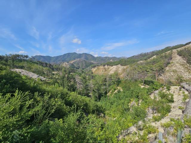 국립울진생태숲 지정 대상지. 2025.8.12. 산림청 제공