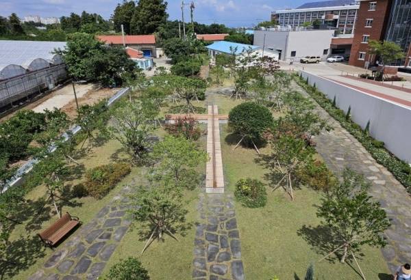 제주시가 올해 신성여자고등학교에 조성한 학교숲 전경.