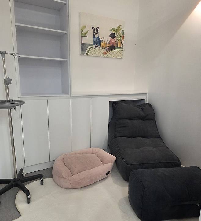 1층 항노화 센터에 마련된 수액 처치실. 반려동물 가족이 편안하게 함께 할 수 있도록 넉넉한 공간을 자랑한다. ⓒ 뉴스1 한송아 기자