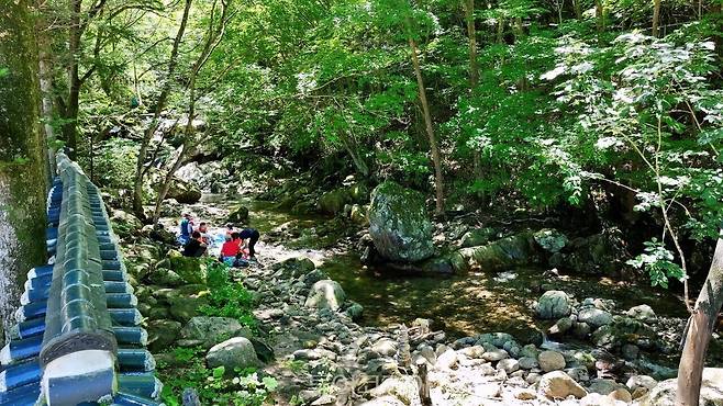 물한계곡&nbsp; / 사진-영동군