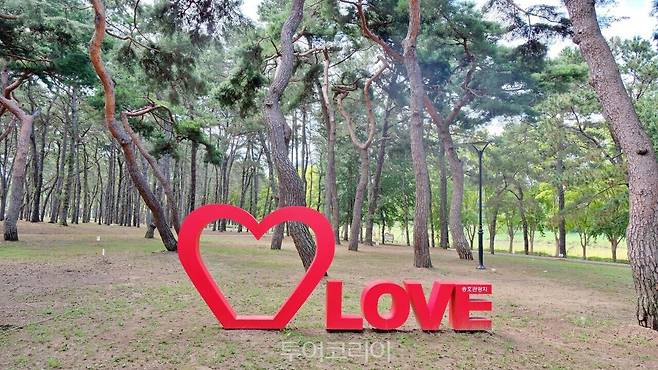 송호관광지 / 사진-영동군