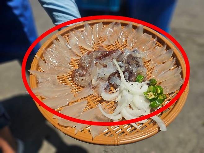 박씨 일행이 속초 오징어 난전에서 구매한 5만6000원짜리 오징어 두 마리. (사진=속초시청 자유게시판