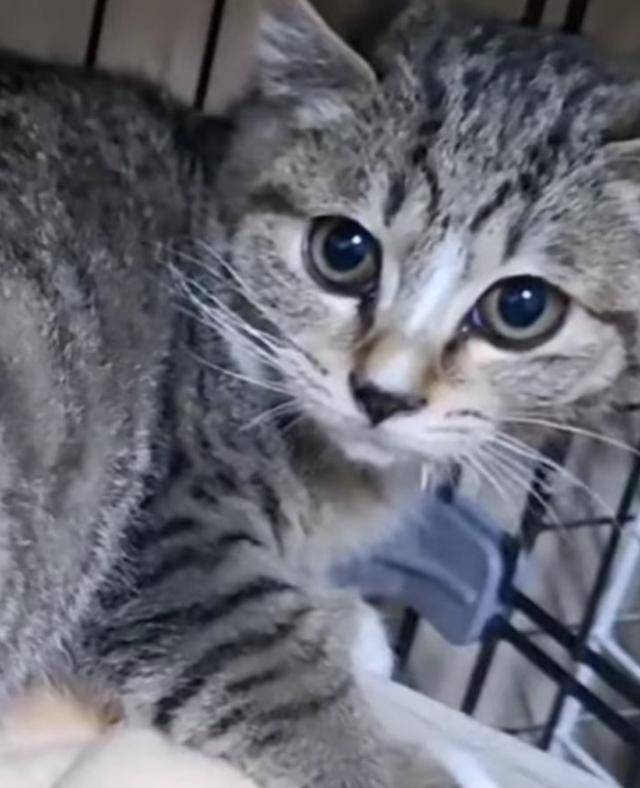 멀리서 느껴지던 강렬한 시선의 정체