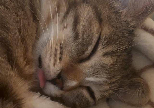 변기 솔 덕분에 마음을 활짝 연 고로입니다.