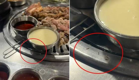 지난 5월 필리핀의 한 한국식 바비큐 식당에서 촬영된 모습. 불판에 구더기가 기어다니고 있다. 사진 틱톡 캡처
