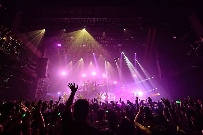 YG엔터테인먼트 제공