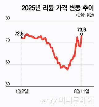 2025년 리튬 가격 변동 추이/그래픽=윤선정