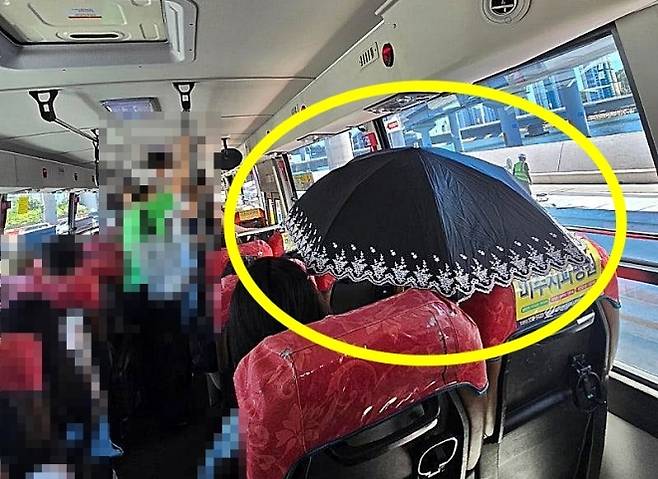 11일 자동차 커뮤니티 보배드림에는 부산의 한 시내버스 안에서 양산을 쓴 아주머니를 포착했다는 글과 사진이 게시됐다. 2025.8.11 온라인 커뮤니티