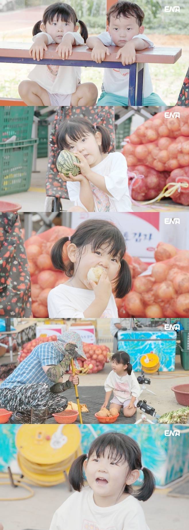 사진｜ENA