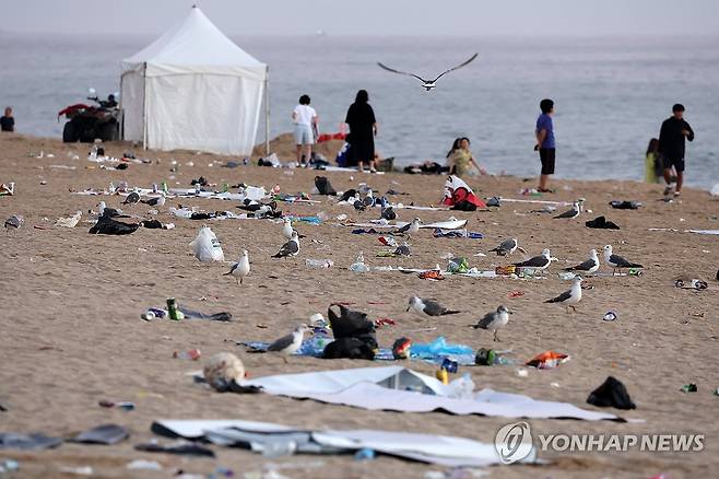 쓰레기 널브러진 경포 해수욕장-작년 8월 모습 [연합뉴스 자료사진]