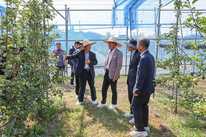 김진태 강원지사, 과수 현장 방문 [강원도 제공.재판매 및 DB 금지]
