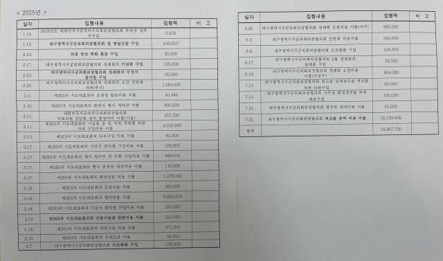 대구시군자치구의장협의회의 올해 예산 지출 내역. 정두나 기자.