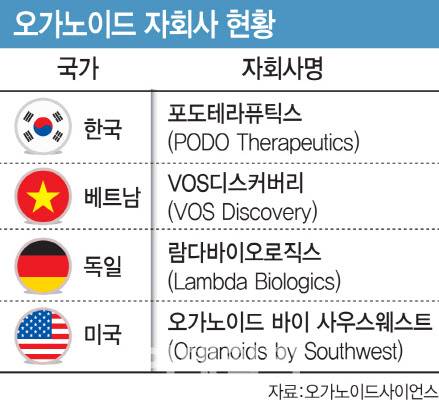 (그래픽=이데일리 김일환 기자)