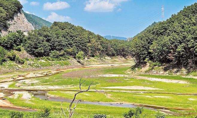 물은 없고 잡초 무성한 '강릉의 식수원' - 12일 오후 강원도 강릉시의 상수원인 오봉저수지의 모습. 한 달가량 이어진 가뭄으로 바닥이 드러나 있다.  /연합뉴스