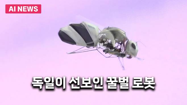 훼스토(Festo)가 개발한 '바이오닉 벌(Bionic Bee)' / 유튜브 @cnsvideo 영상 캡처