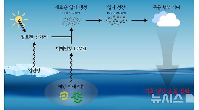 [서울=뉴시스] 북극 미세조류와 DMS, 대기 중 구름응결핵 모식도.