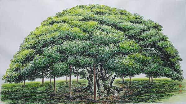 창선도 왕후박나무. 146×76cm 한지에 수묵담채. 경상남도 남해 창선도에 있는 왕후박나무는 나이 500세가 넘는 천연기념물이다.임진왜란 때 이순신 장군이 이 나무 아래서 쉬어갔다고 해서 '이순신나무'라고도 부른다. 해마다 마을 사람들은 이 나무 아래에서 당제堂祭를 올리고 마을의 평안과 풍어를 빈다.