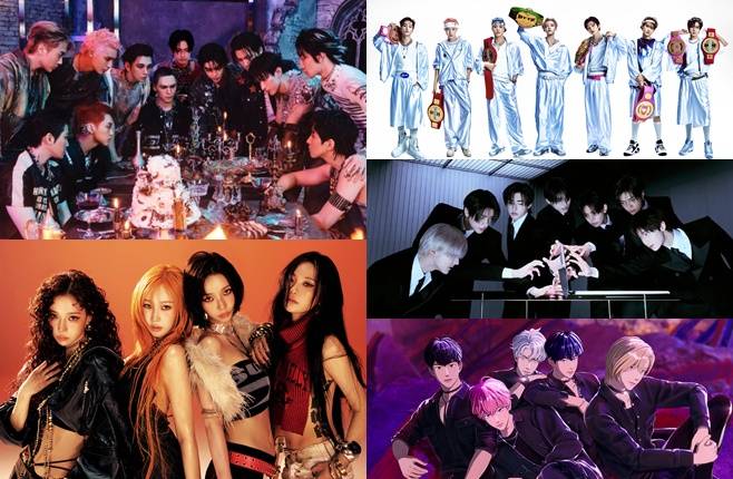 티브이데일리 포토