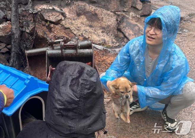 엄태흠 수의사가 산불 현장에서 개들을 구조하고 있다(넬동물의료센터 제공). ⓒ 뉴스1