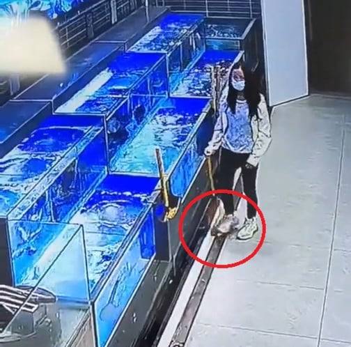 중국의 한 여성이 마트 수족관에서 활어를 꺼내 발로 밟고 있다. /온라인 커뮤니티